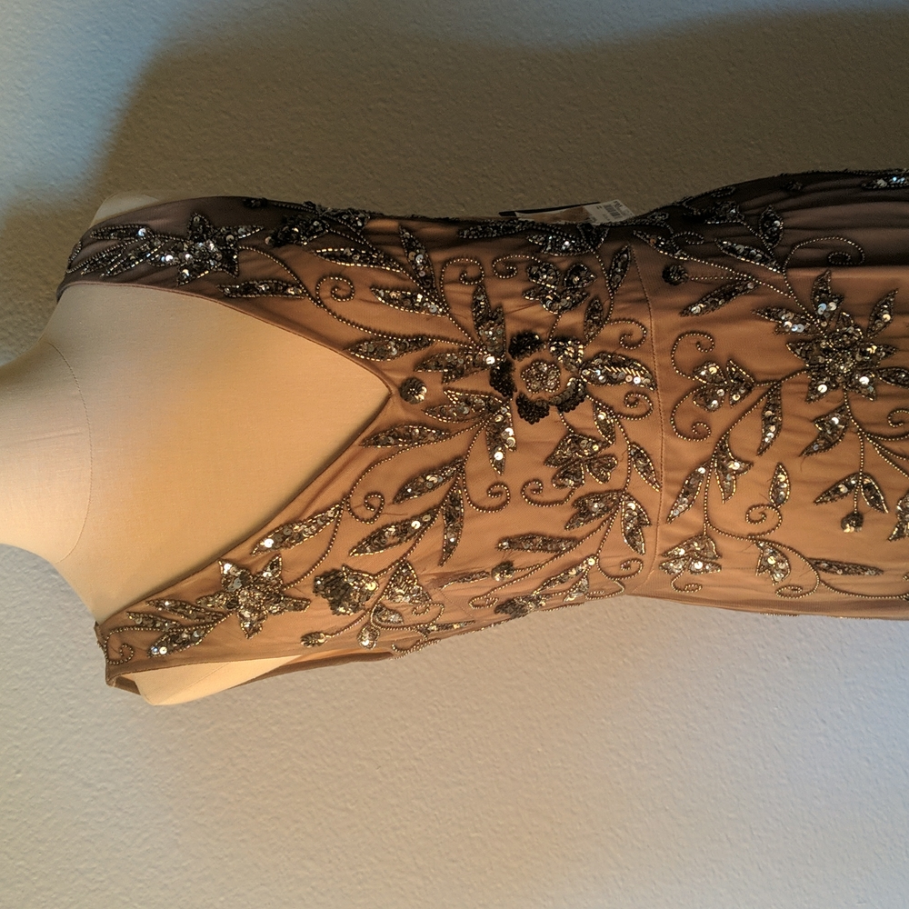 Adrianna Papell NWT sz 8 long dress